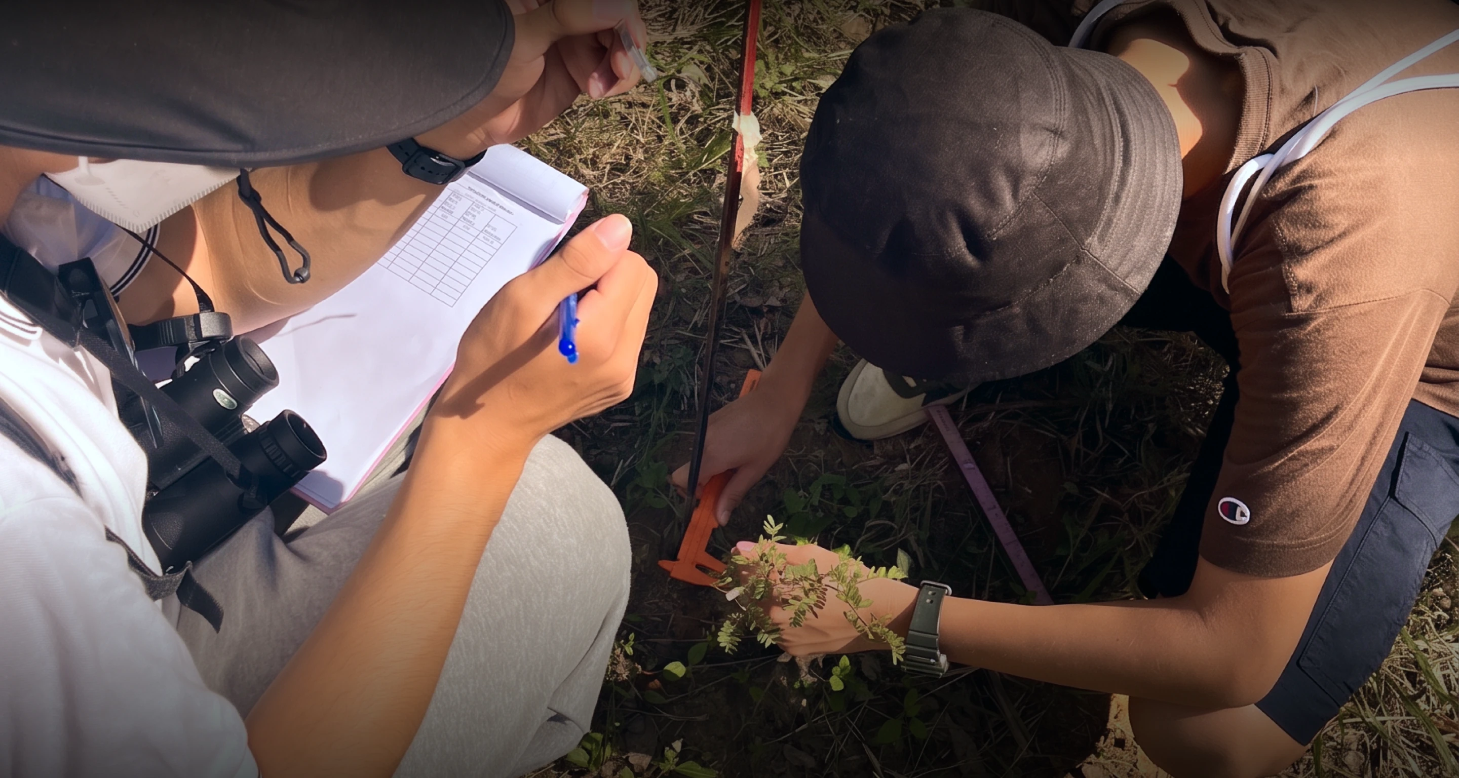 Service Learning