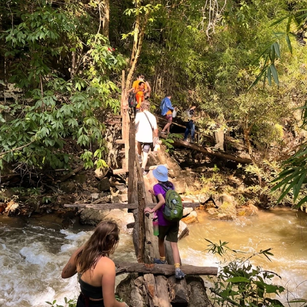 Forest stream adventure