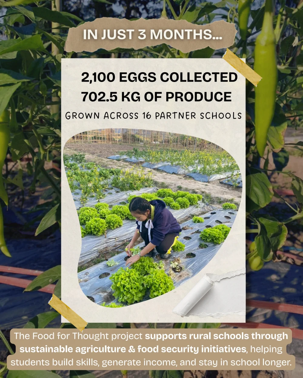 Food for Thought report (Jan 2026)