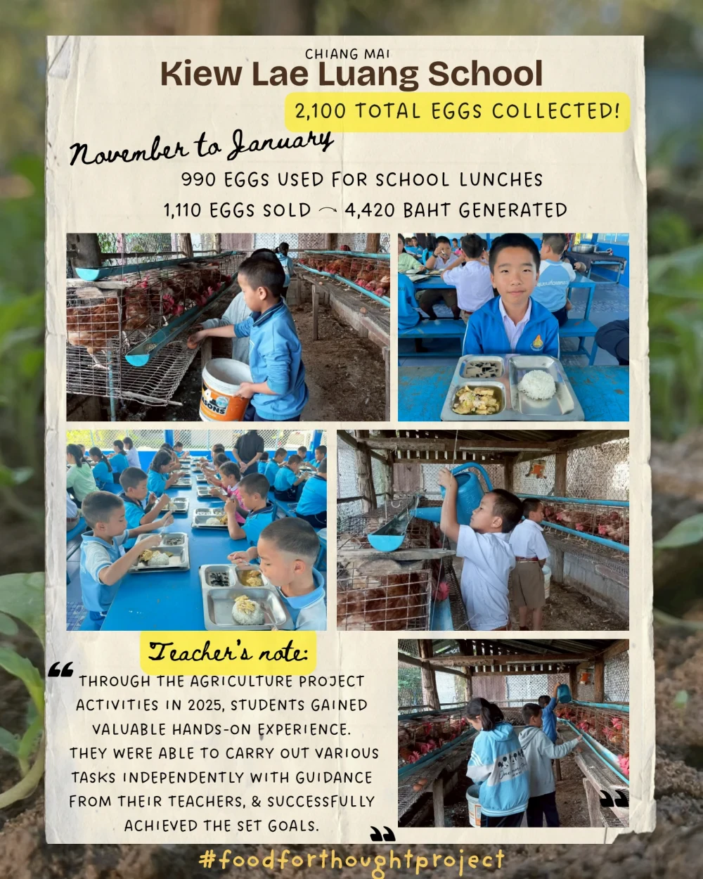 Food for Thought report (Jan 2026)