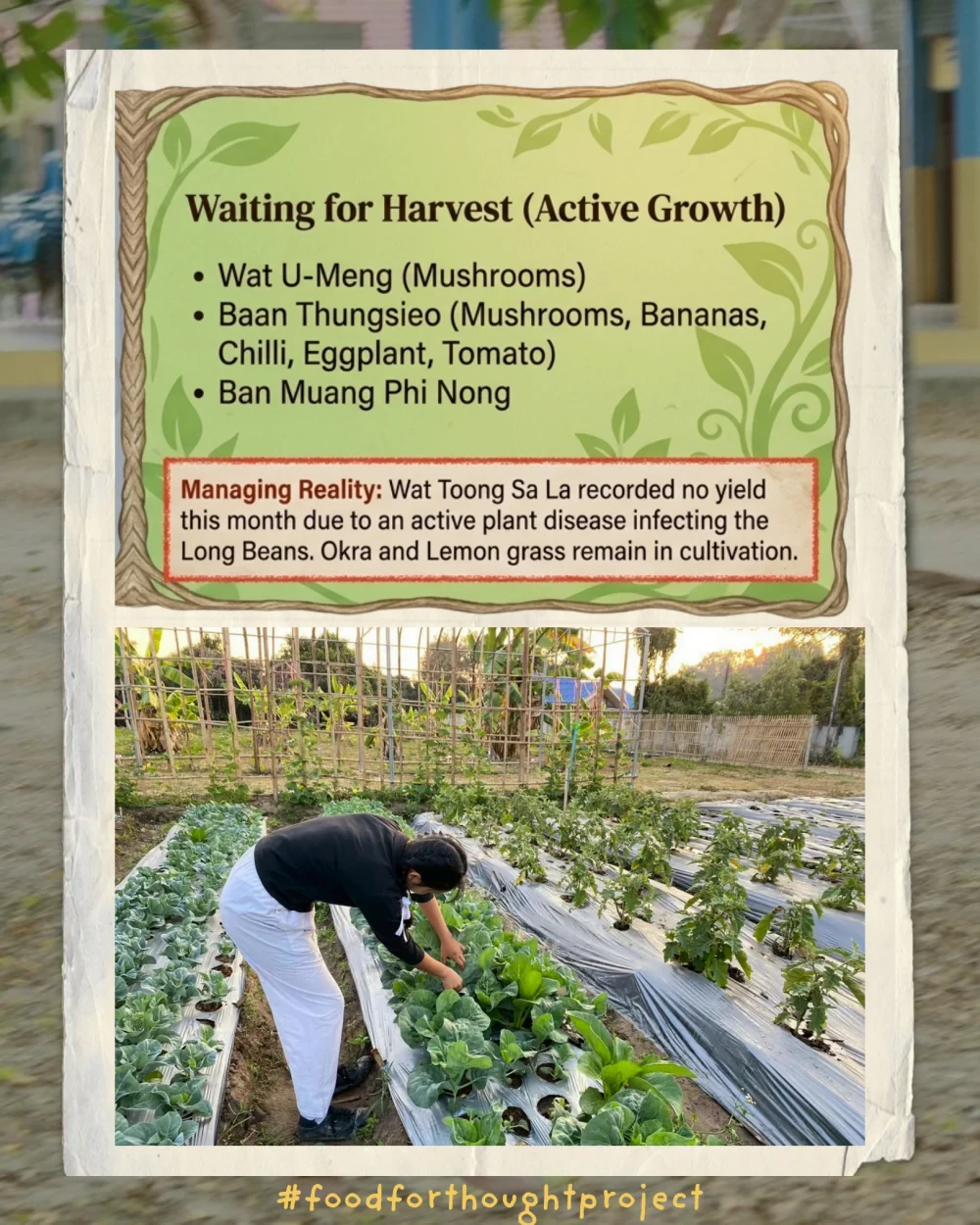Food for Thought report (March 2026)