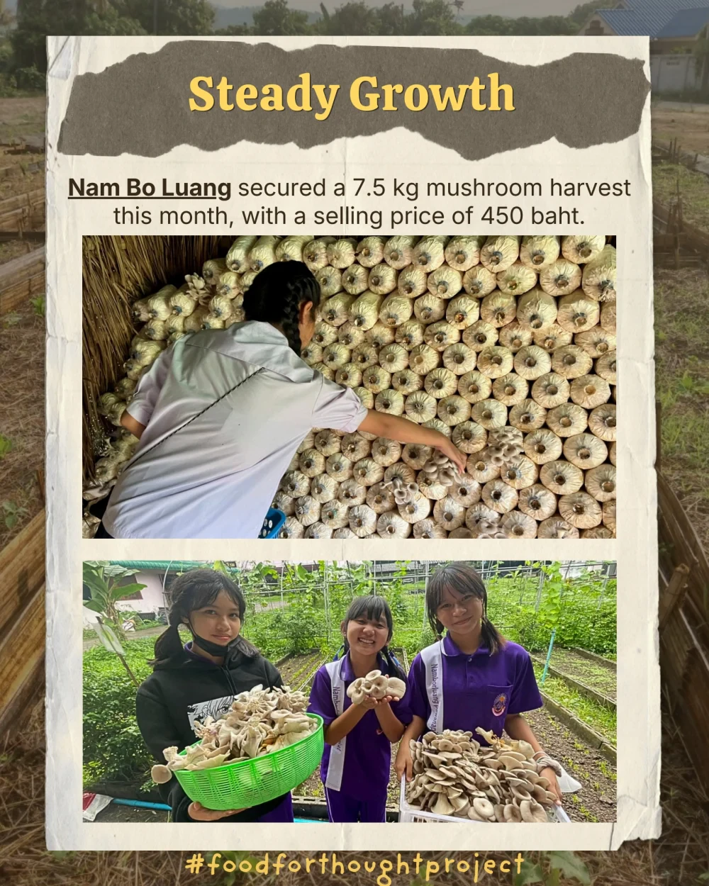 Food for Thought report (April 2026)