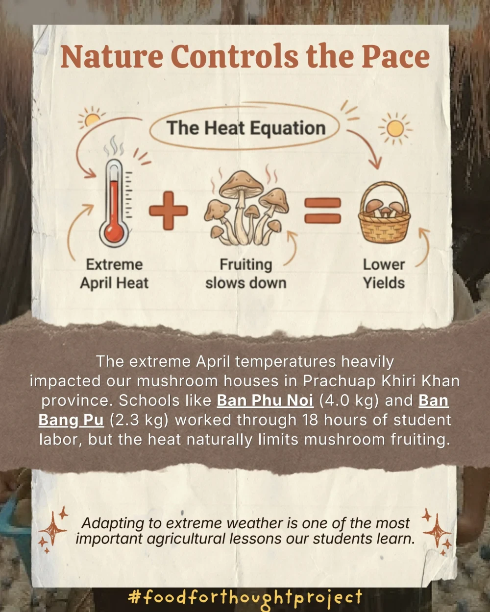 Food for Thought report (April 2026)