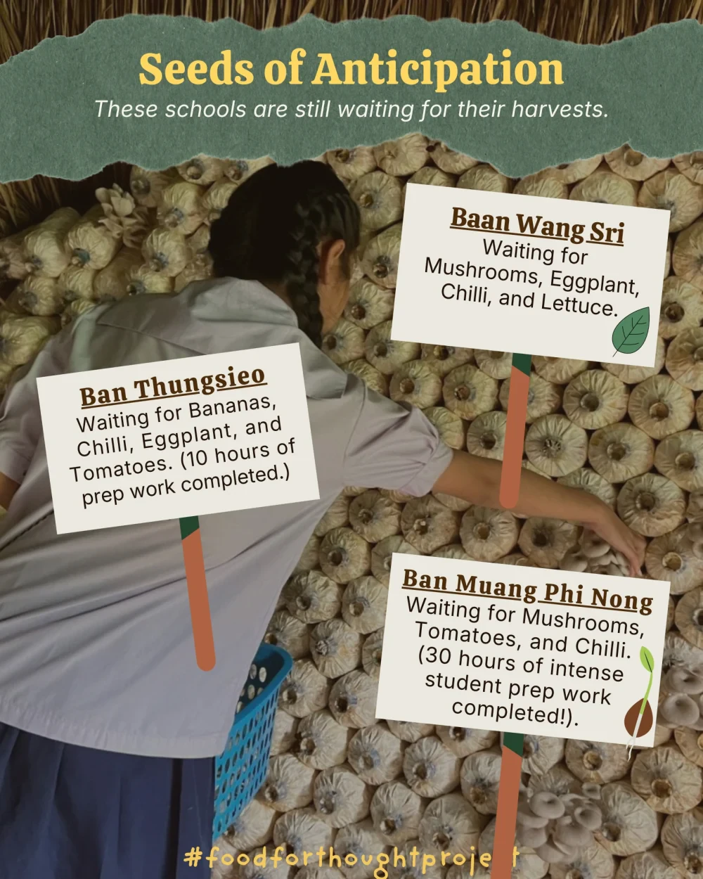 Food for Thought report (April 2026)