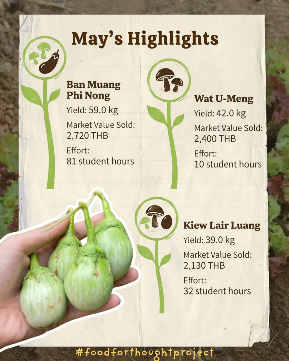 Food for Thought report (May 2026)