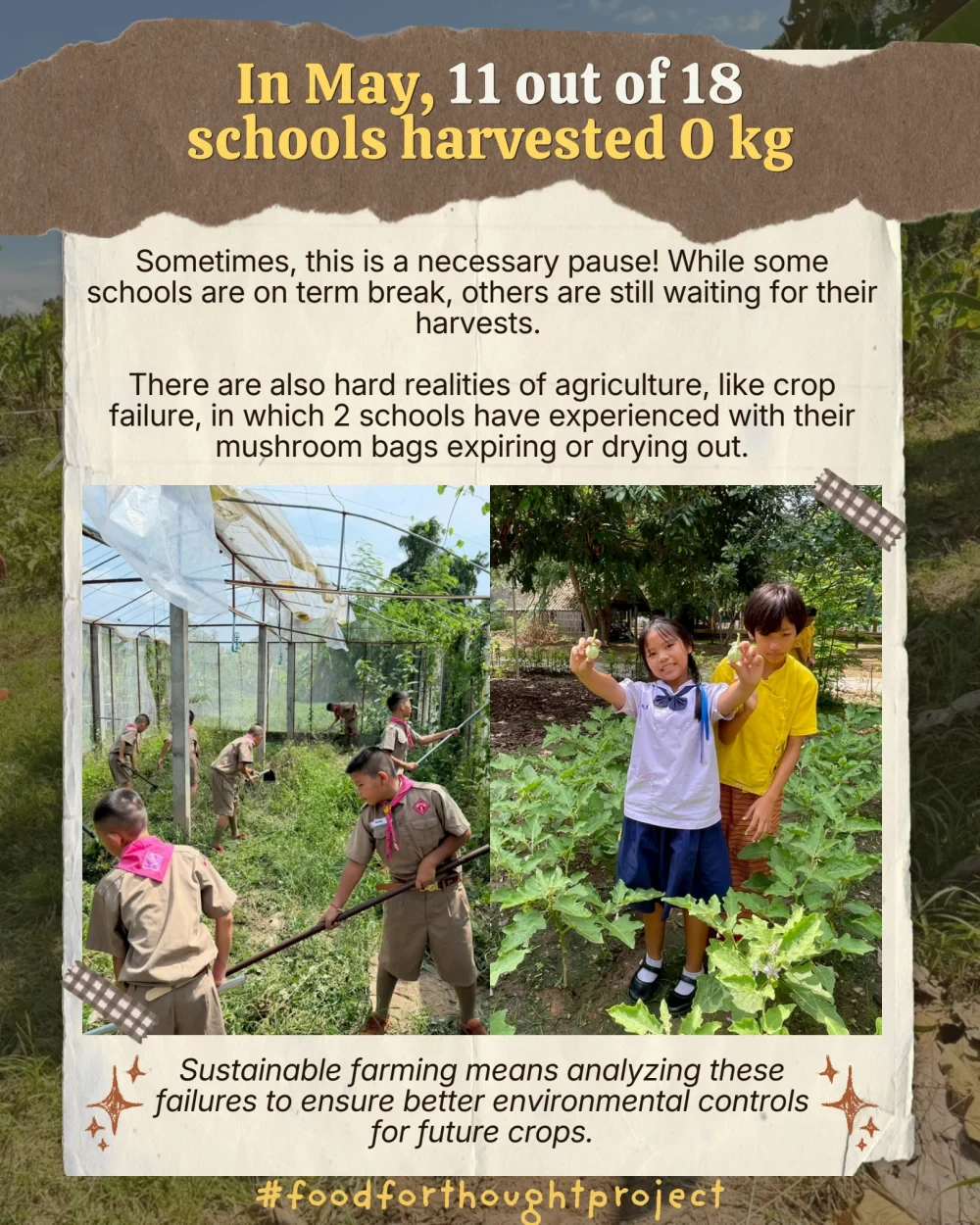 Food for Thought report (May 2026)
