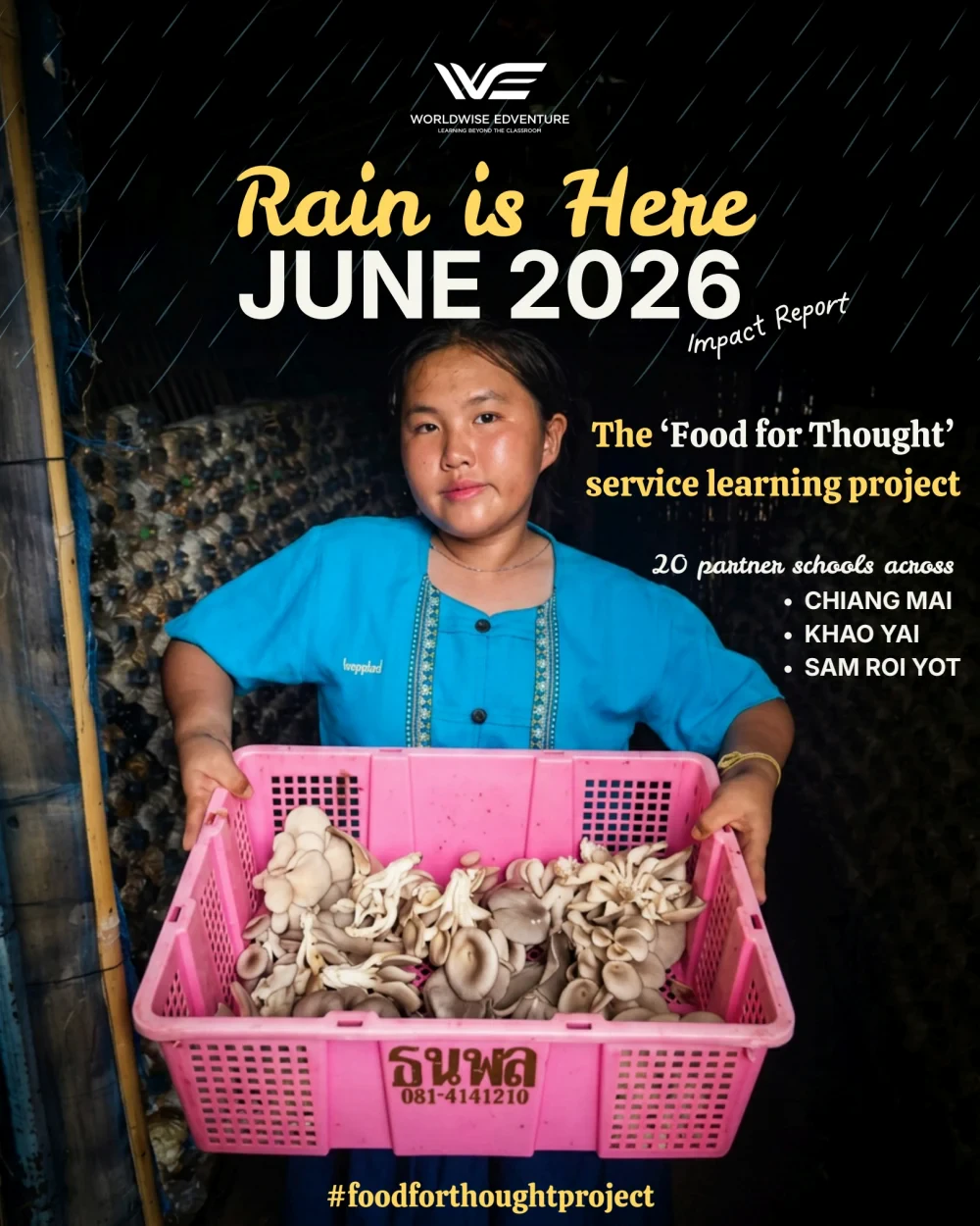 Food for Thought report (June 2026)