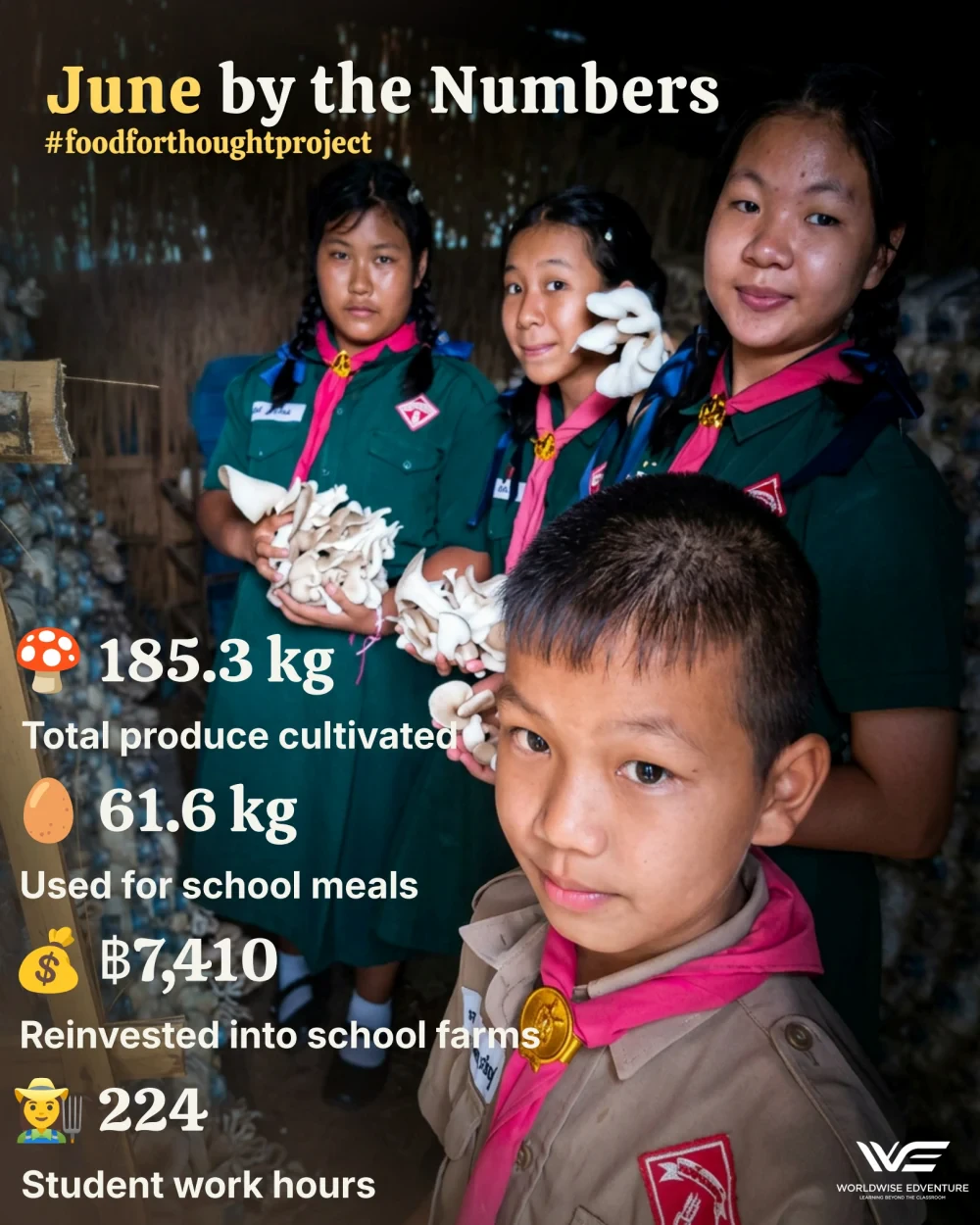 Food for Thought report (June 2026)