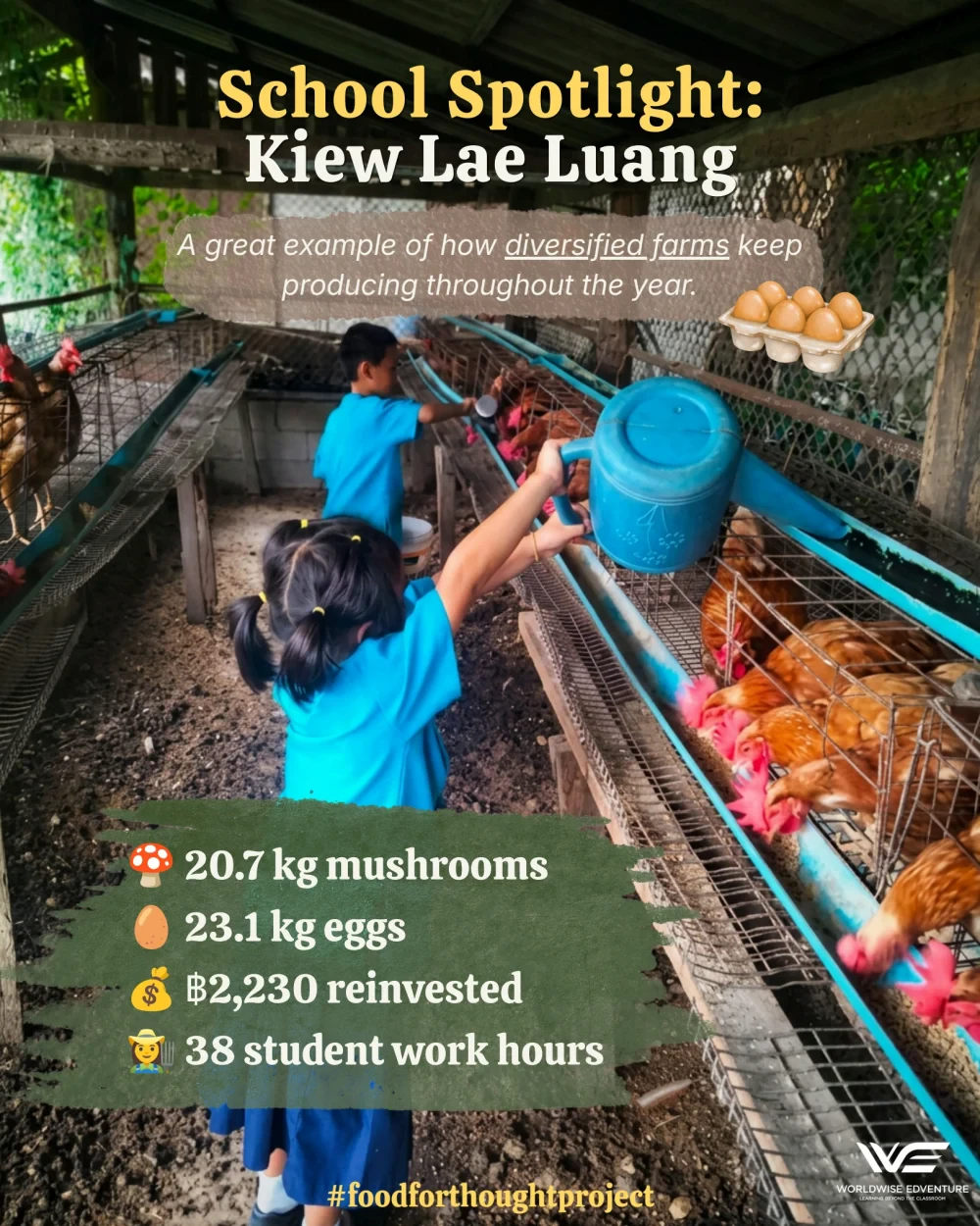 Food for Thought report (June 2026)