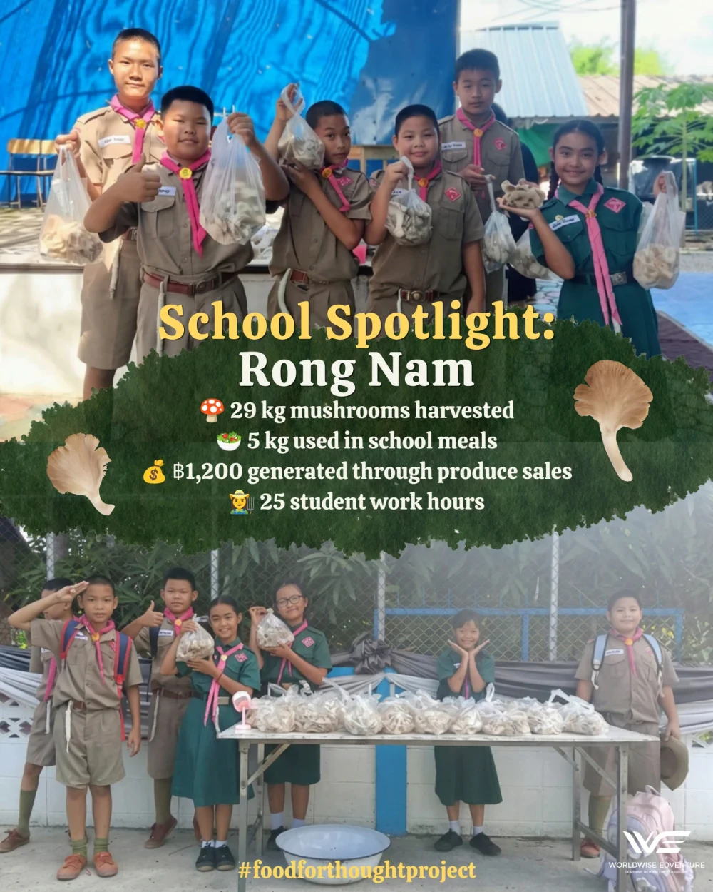 Food for Thought report (June 2026)