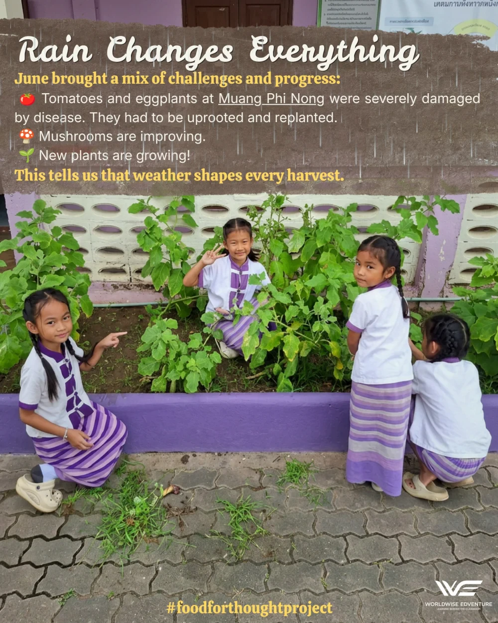 Food for Thought report (June 2026)