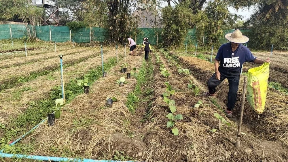 Agriculture & Development