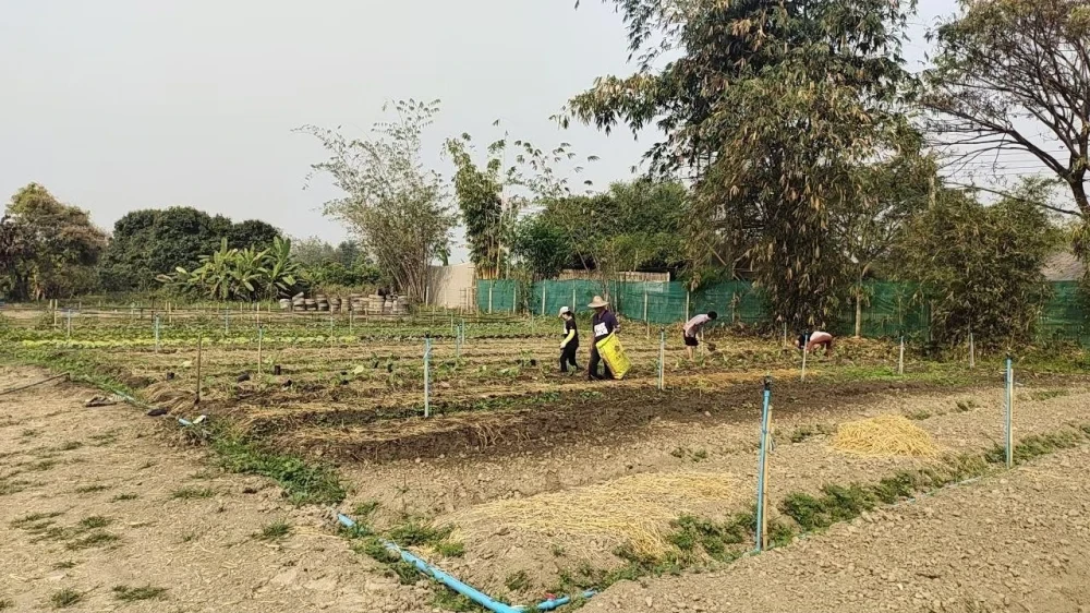 Agriculture & Development