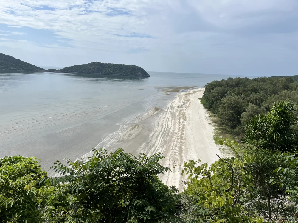 Beach Cleanup