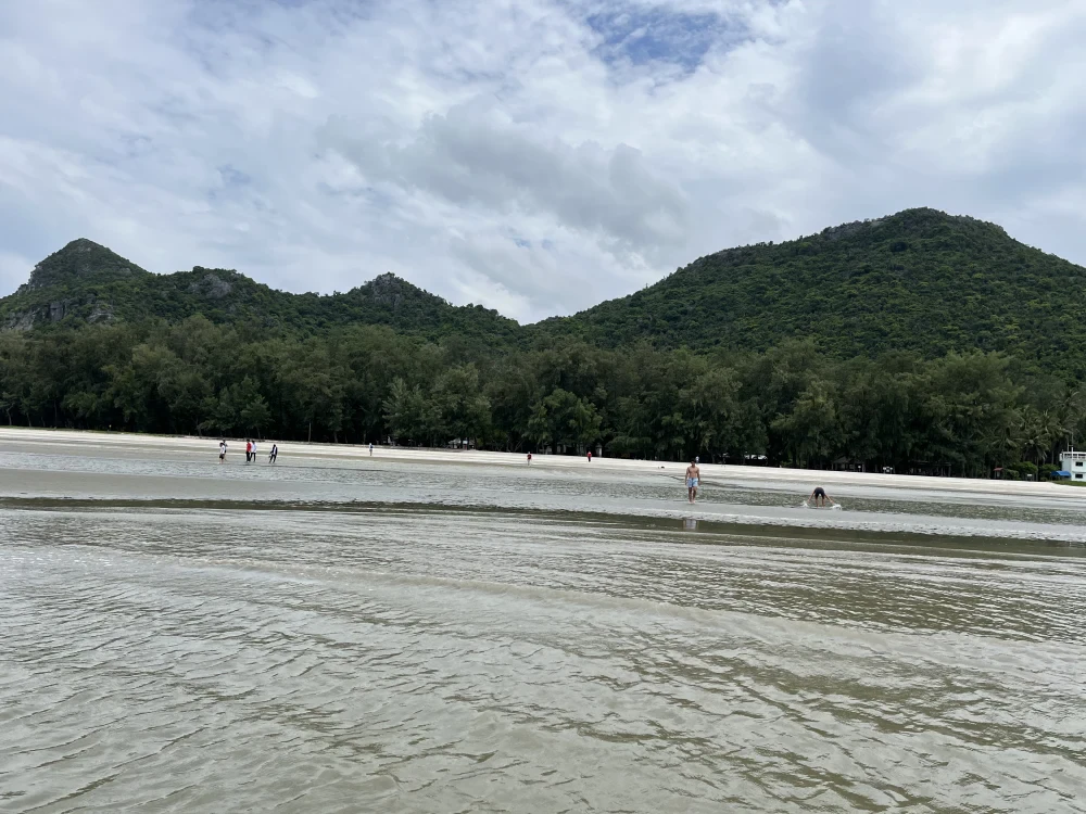 Beach Cleanup