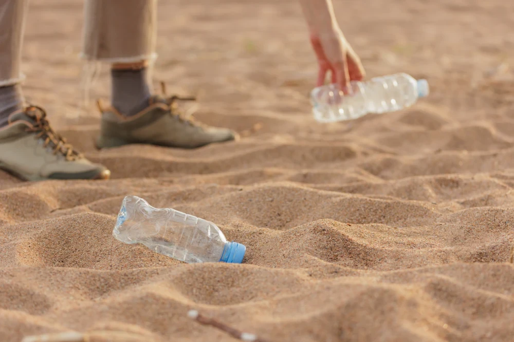 Beach Cleanup