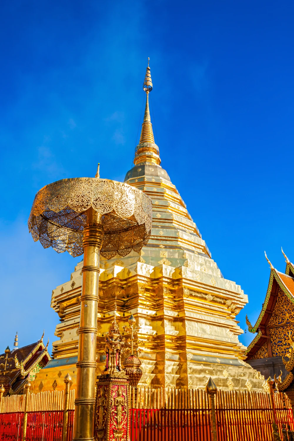 Chiang Mai Excursions