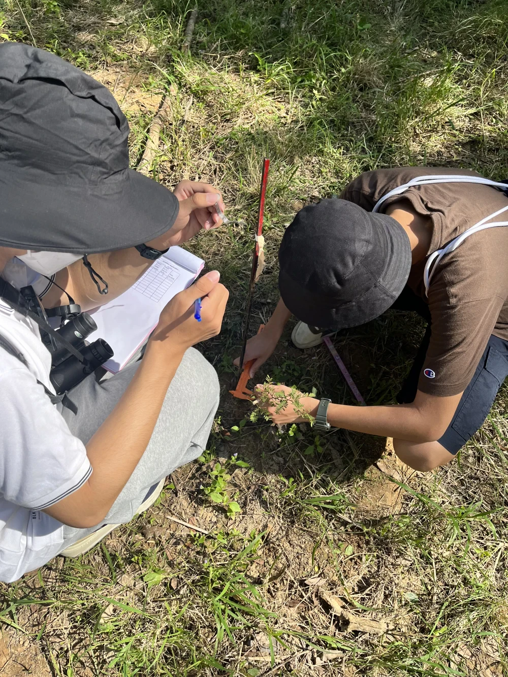 Data Collection & Analysis