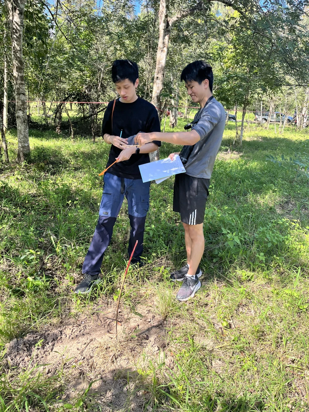 Data Collection & Analysis