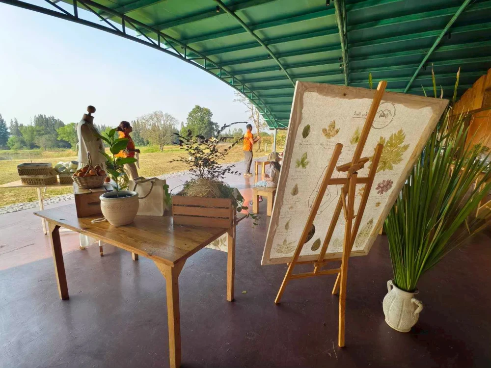 Eco Art