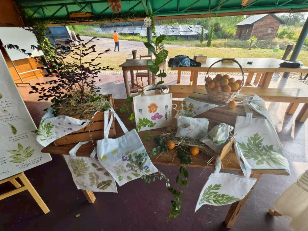Eco Art