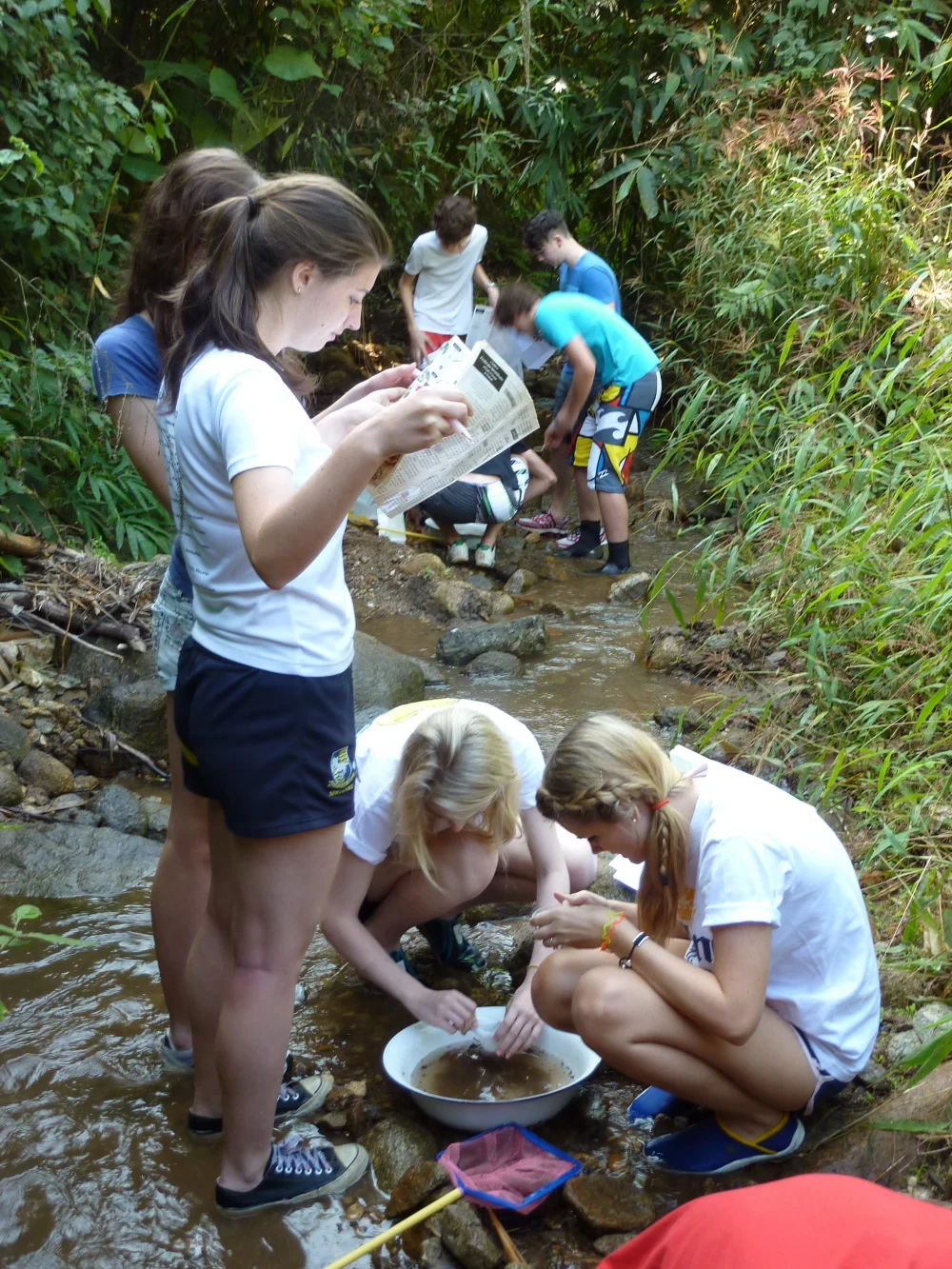 Freshwater Ecology