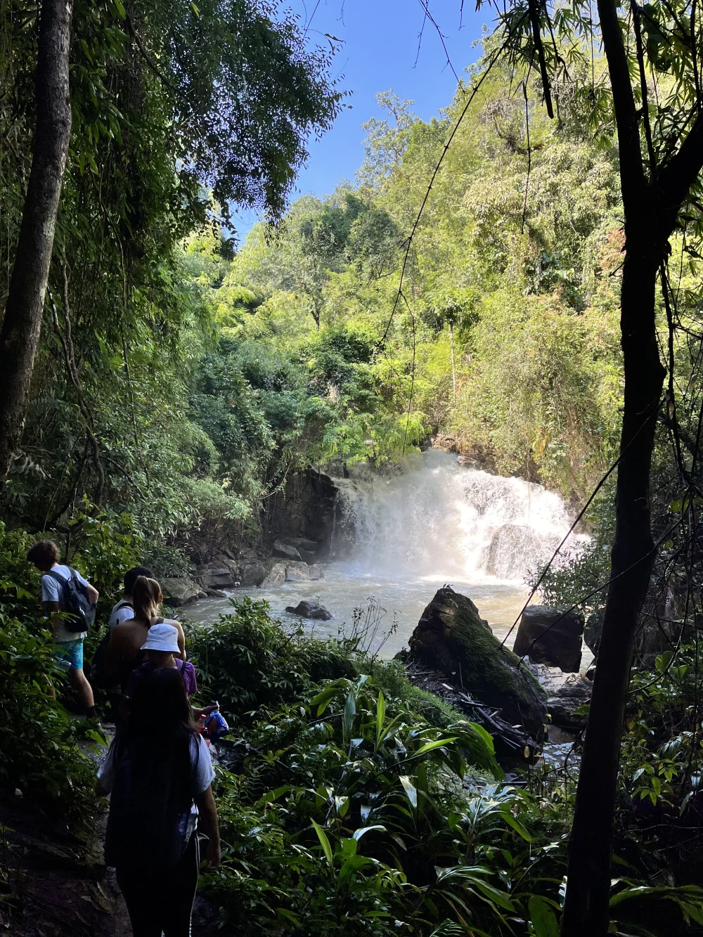 Hike / Trekking