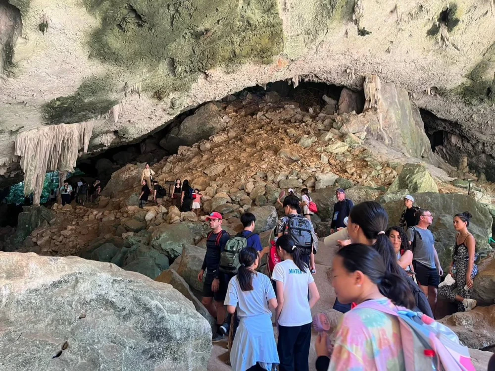 Hike / Trekking