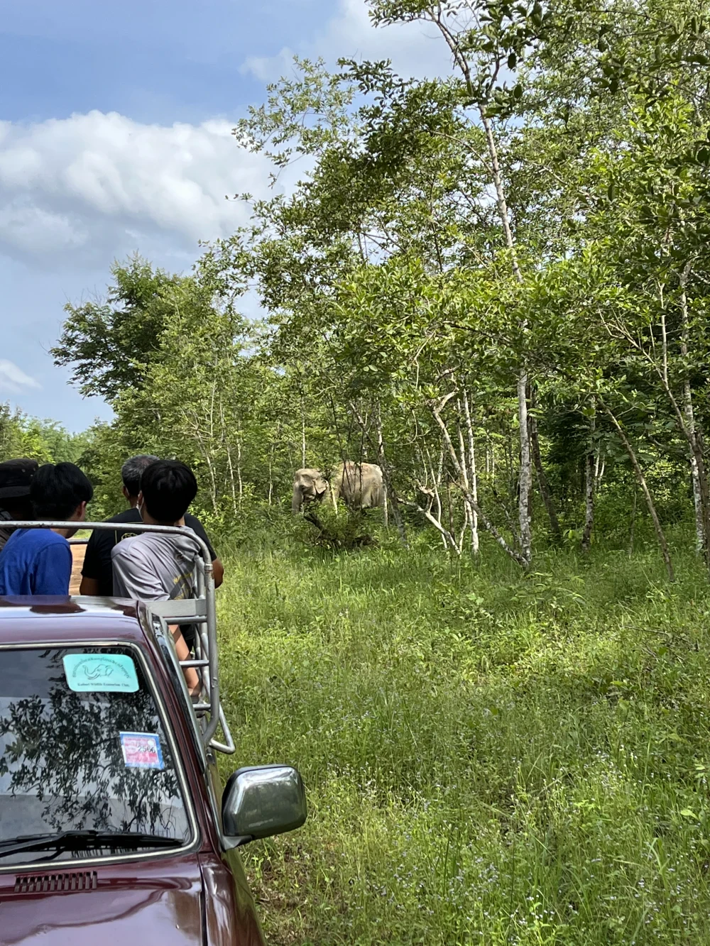 Kui Buri (Human-Elephant Conflict Day)