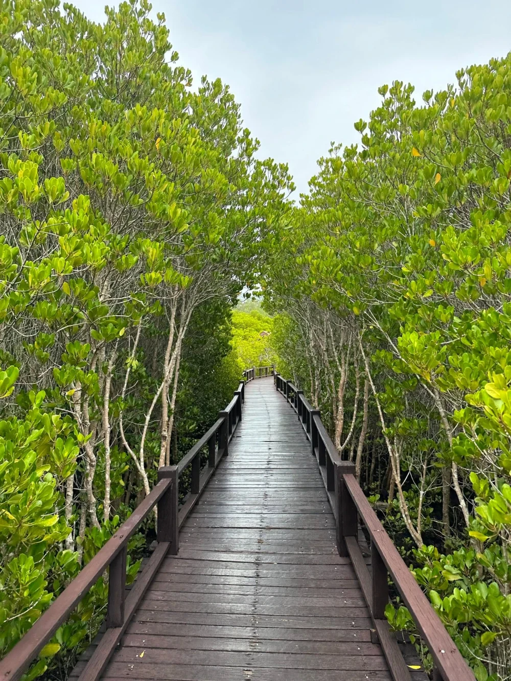 Mangrove & Coastal Habitats