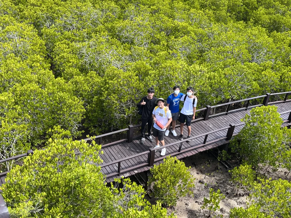 Mangrove & Coastal Habitats