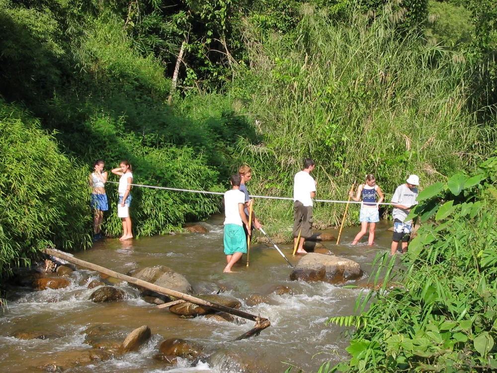Mapping & Fieldwork Skills