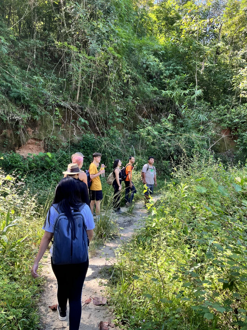 Navigation & Expedition Skills
