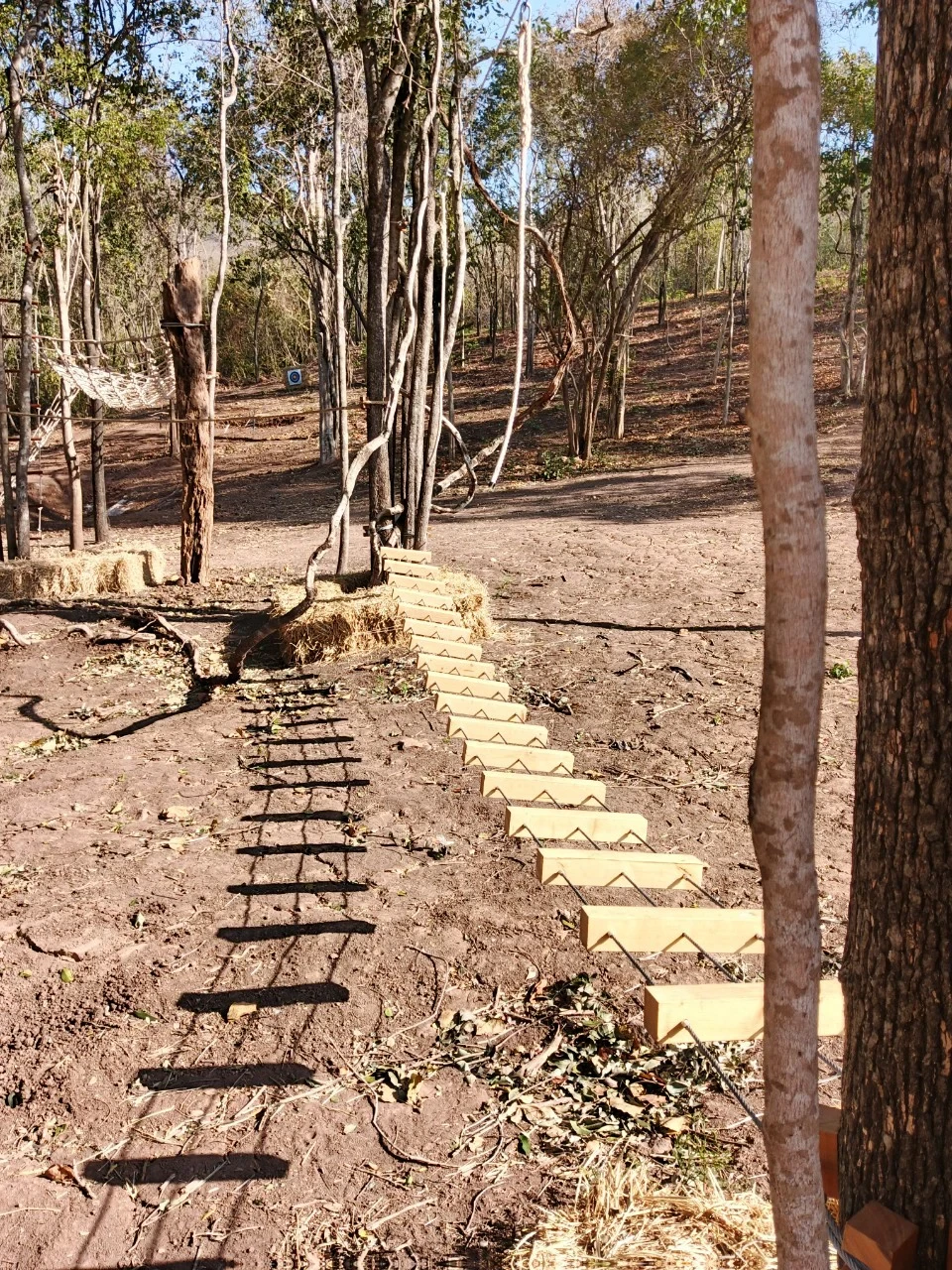 Obstacle Course