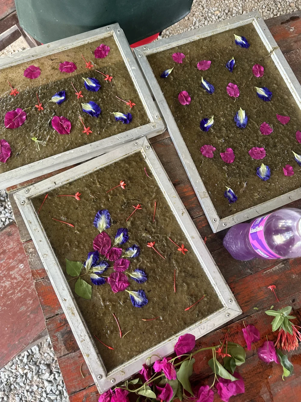Pineapple & Elephant Poo Workshop