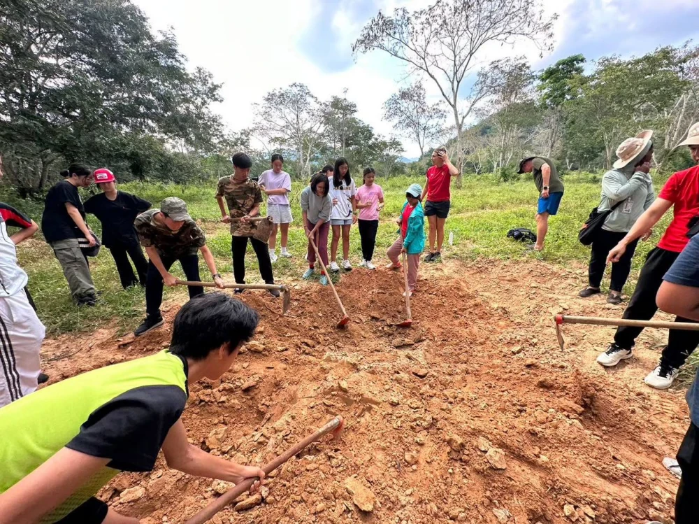 Pineapple & Elephant Poo Workshop