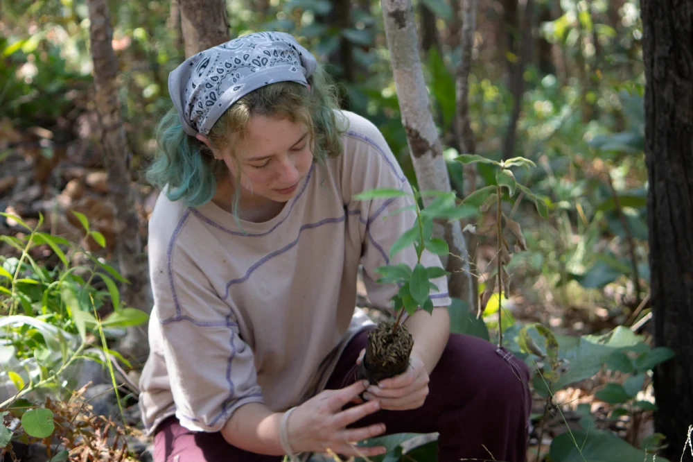 Reforestation / Seed to Forest