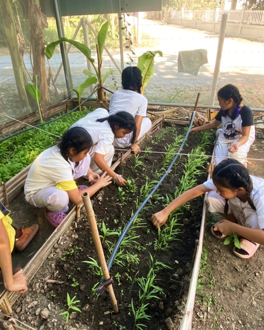Sapling Nursery Work