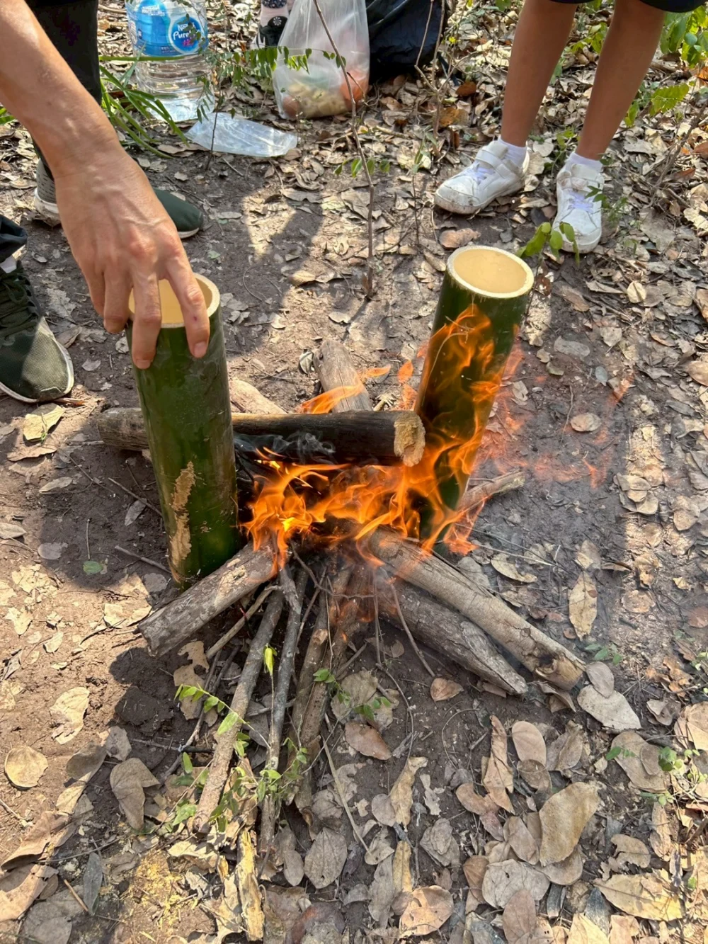 Survival / Bushcraft Skills