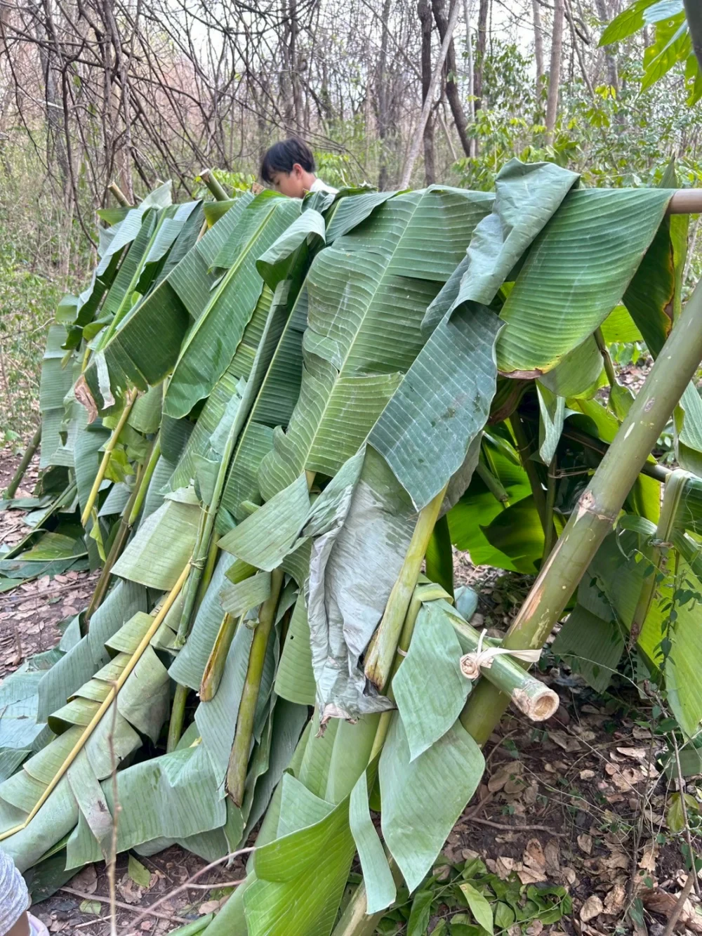 Survival / Bushcraft Skills