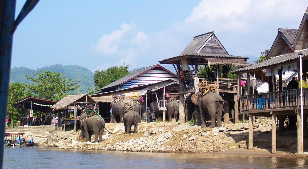 Tourism & Conservation